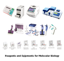 Reagents and equipments for molecular laboratories