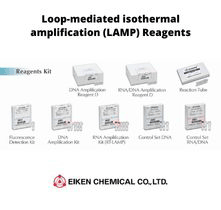 น้ำยาสำหรับเพิ่มจำนวนสารพันธุกรรมด้วยเทคนิค LAMP - LAMP Reagents