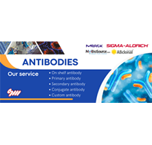 Antibodies - S.M. CHEMICAL SUPPLIES CO LTD