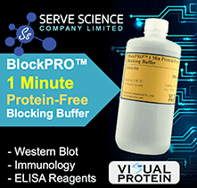 BlockPROTM 1 Minute Protein-free Blocking Buffer
